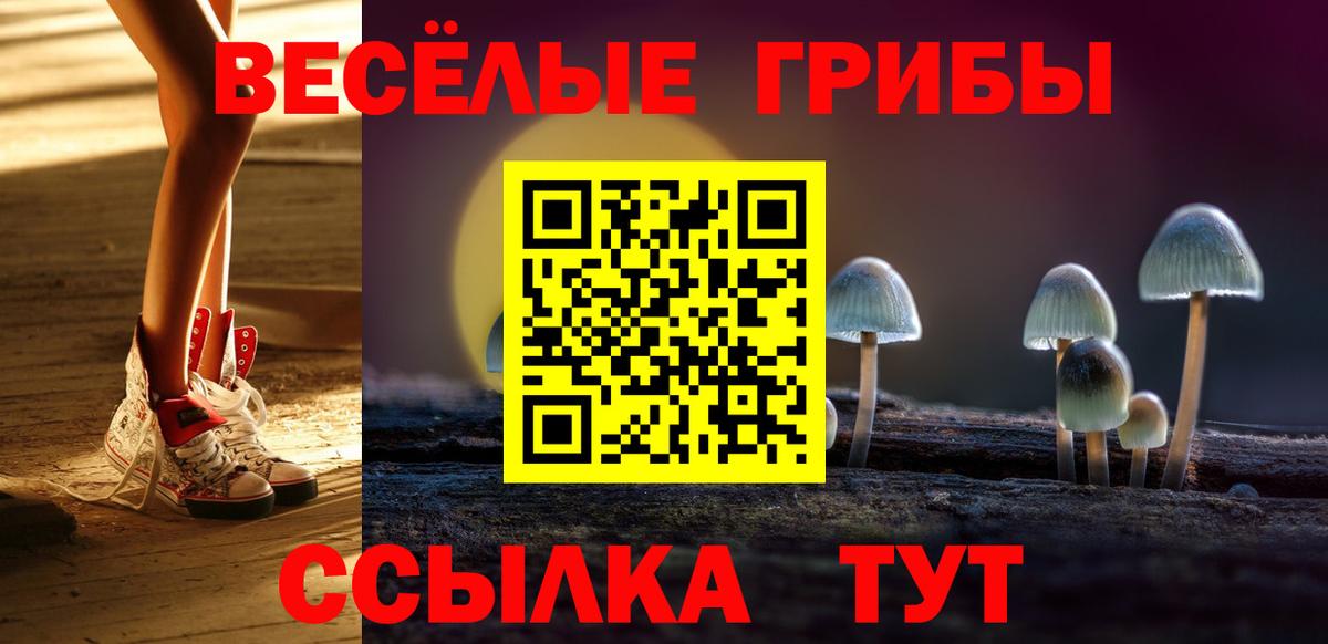 Псилоцибиновые грибы ЛСД Орёл
